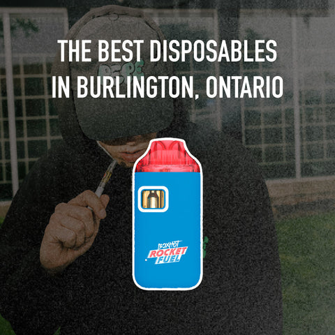 Best Disposable Weed Vapes in Burlington, Ontario