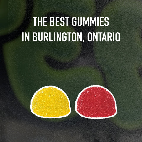 The Best Weed Gummies in Burlington, Ontario