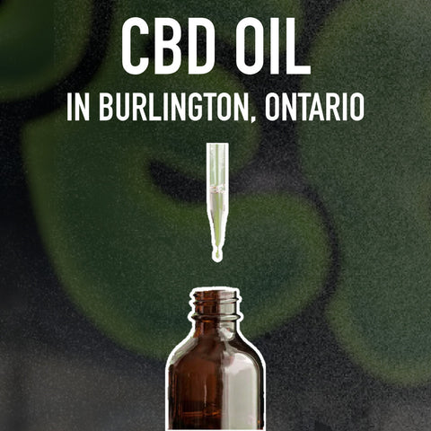 CBD Oil Guide in Burlington, Ontario