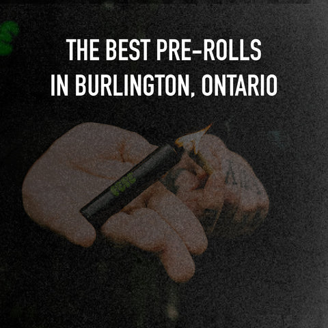 The Best Pre-Rolls in Burlington, Ontario, Canada
