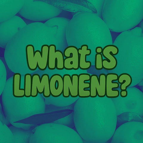 What is Limonene? Cannabis Terpene Guide