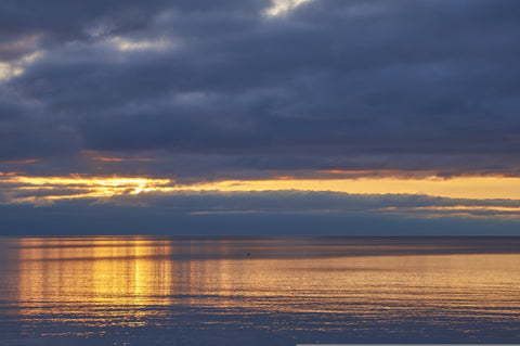 Burlington Waterfront Day Trip Guide: From the Pier to Brant Street