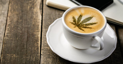 The Best Coffee Shops & Cafés in Burlington, Ontario: Cannabis & Caffeine