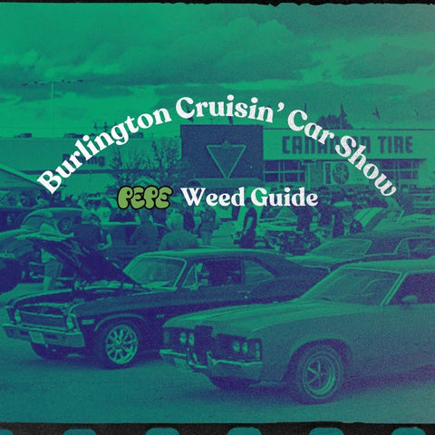 What is the Burlington Cruisin’ Car Show 2025?