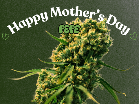 Cannabis and Motherhood 2025: Why 25% of Canadian Moms Choose Weed