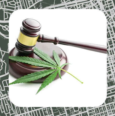 Cannabis Laws in Burlington, Ontario