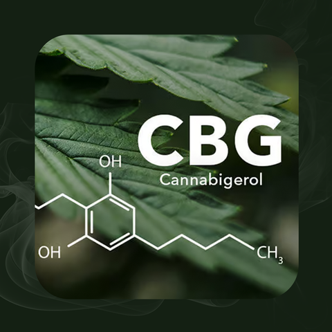 What is CBG? Where to Buy Cannabigerol in Burlington, Ontario