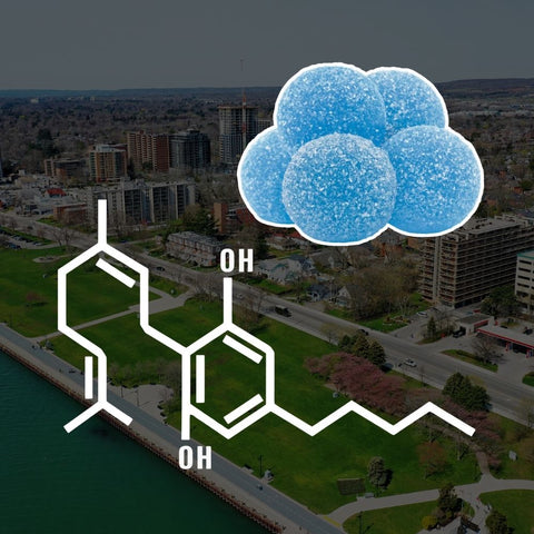 CBG Gummies in Ontario: What Is CBG?