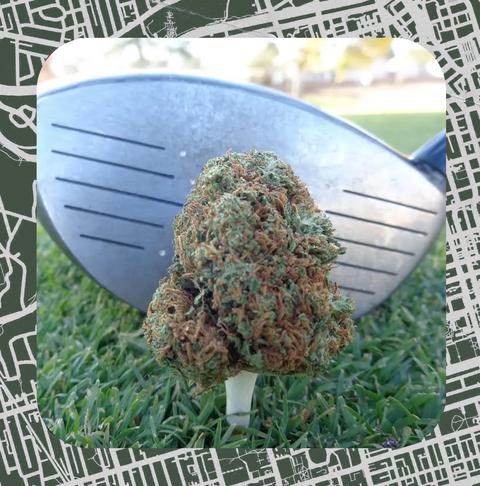 The Best Golf Courses in Burlington: Cannabis & Golf