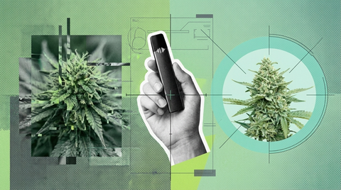 How to Avoid a Bad High: Cannabis Tips for Beginners