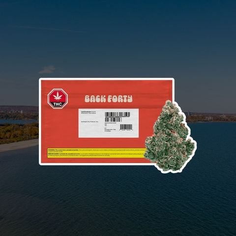 Liquid Imagination by Back Forty: Strain Review (Burlington, ON)