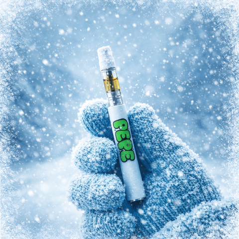 10% OFF THIS WEEK ONLY